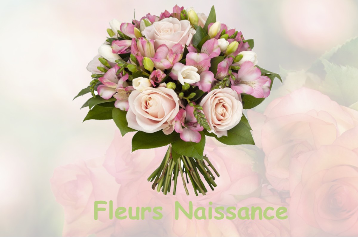 fleurs naissance GARRIS