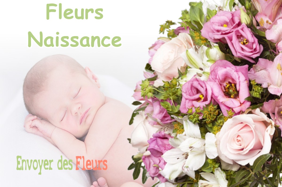 lIVRAISON FLEURS NAISSANCE à GARRIS